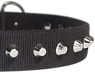 1 Row Studs Dog Collar-1 1/4" for all dogs
