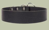 2 inch wide All Weather Collar for all breeds-Leather Collar