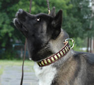 Akita Gorgeous Wide Leather Dog Collar With Plates - Husky