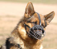 German Shepherd Wire Basket dog muzzle