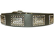 GREAT Black Dog Collar with Vintage Plates GREAT Black Dog Collar with Vintage Plates