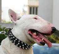 Bull Terrier spiked dog collar -3 Rows Leather Spiked Dog Collar