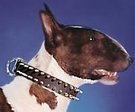 Bull Terrier Leather Spiked Dog Collar- Bull Terrier collar