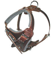 Find adjustable Leather Dog Harness - H1