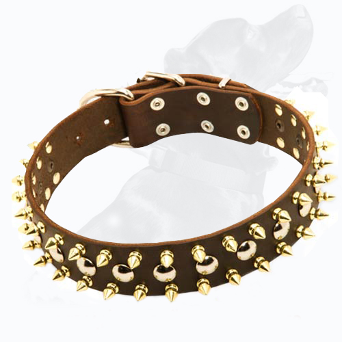 Golden Brass Spikes Dog Leather Collar Golden Brass Spikes Dog Leather Collar