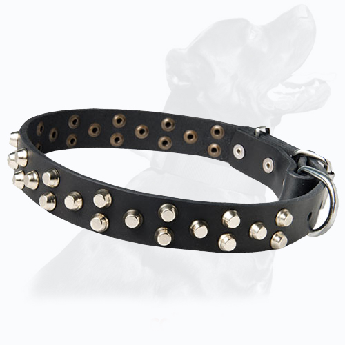 Impress with the best!!! Top Leather Dog Collar For Everyday Walking and Training. Impress with the best!!! Top Leather Dog Collar For Everyday Walking and Training.