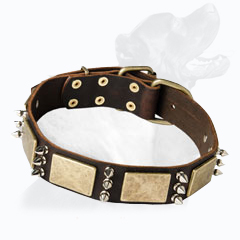 Knocking Extremely Stylish Everyday Dog Collar Knocking Extremely Stylish Everyday Dog Collar