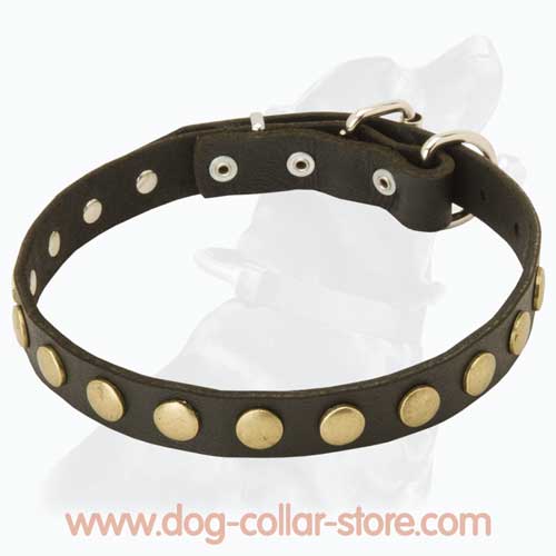 Leather Dog Collar Decorated With Brass Circle Studs Leather Dog Collar Decorated With Brass Circle Studs