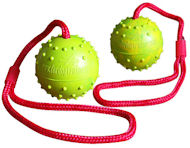 Training DOG BALL on a String-Dog Rubber Ball for all dogs