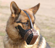 Leather dog muzzle ''''Dondi''''-plus style For German Shepherd