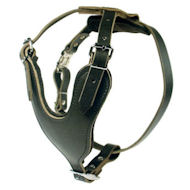 Heavy Duty Dog Harness for all dogs