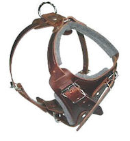 SIMILAR to Gappay Leather Defense Harness for all dogs