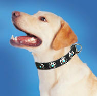Labrador Leather Dog Collar & Silver Plated Circles Stones