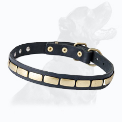 Gorgeous Leather Collar For Handling Medium Size Dogs Gorgeous Leather Collar For Handling Medium Size Dogs