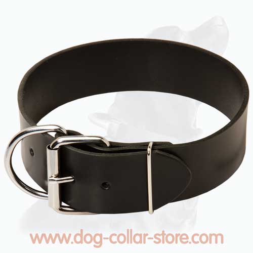 Classical Leather Dog Collar For Everyday Walking and Training Classical Leather Dog Collar For Everyday Walking and Training
