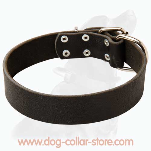 Classical Wide Leather Dog Collar Classical Wide Leather Dog Collar
