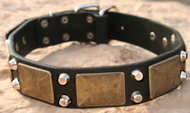 Gorgeous War Dog Leather Dog Collar- old brass massive+ pyramids