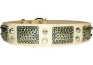 GREAT Leather Dog Collar with Studs and Vintage Plates- C85+ GREAT Leather Dog Collar with Studs and Vintage Plates- C85+