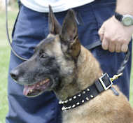 Black Nylon Spiked Dog Collar- wallking nylon dog collar 2 rows