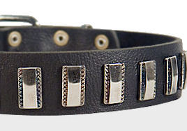 Ornament Dog Collar made of leather for DOG Ornament Dog Collar made of leather for DOG