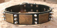 Gorgeous War Dog Leather Dog Collar-old brass plates +3 spikes
