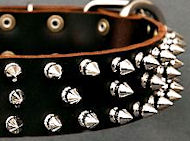 Protector Full Spiked Latigo Dog Collar for all dogs