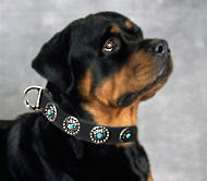 Rottweiler Leather Dog Collar & Silver Plated Circles Stones