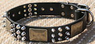 Custom Leather Dog Collar- old brass massive plates & 6 spikes