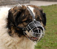 Wire Basket Dog Muzzles for all breeds