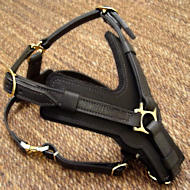 Exclusive Luxury Handcrafted Padded Leather Dog Harness