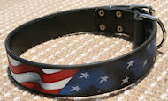 Best design leather collar- Hand painted leather dog collar USA