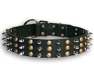 Studded Leather Dog Collar with Spikes for All Breeds - S59