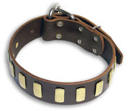 Big Leather Dog Collar With Plates fog big dog breeds - S33