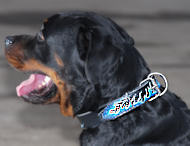Rotty Hand painted by our artists leather dog collar - blue-tree