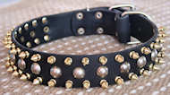 Three Rows with brass Leather Spiked and Studdes Dog Collar