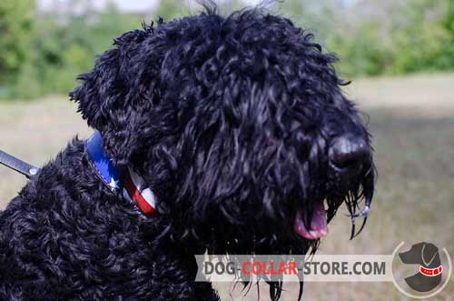 Leather Dog Collar for Black Russian Terrier with Stylish American Flag Painting