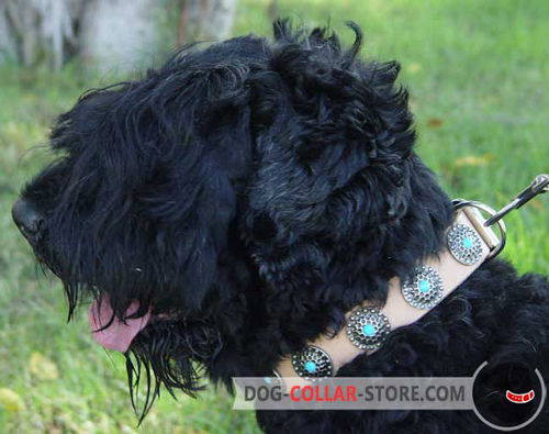 Tan Blue Stoned Leather Dog Collar for Black Russian Terrier 