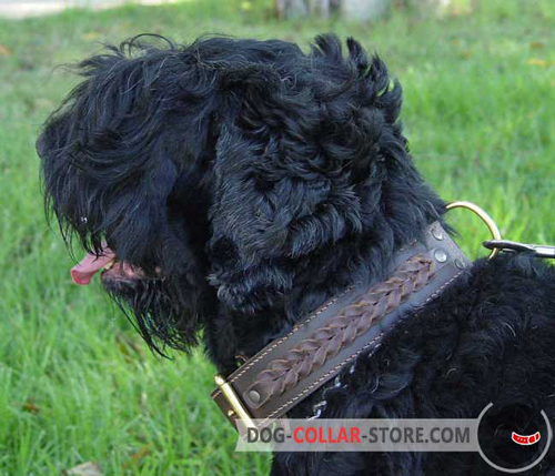 Brown Leather Black Russian Terrier Collar with Braids