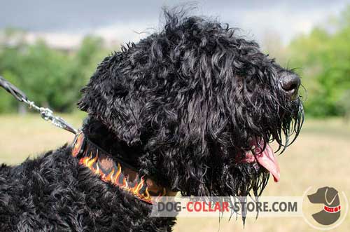 Leather Dog Collar for Black Russian Terrier with Painted Flames Design