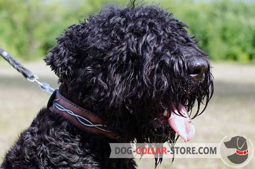 Painted Leather Dog Collar for Black Russian Terrier Walking