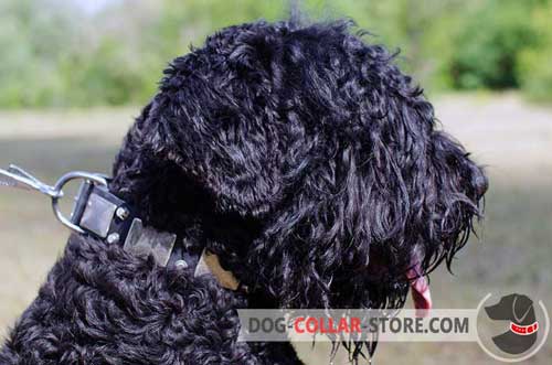 Soft Leather Black Russian Terrier Collar With Metal Decoration