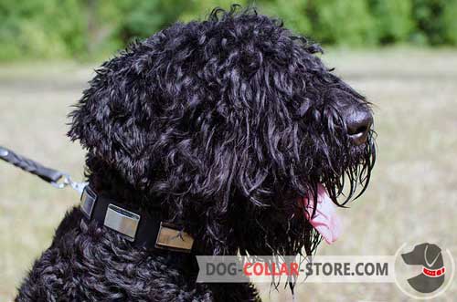 Easy Adjustable Plated Leather Dog Collar for Black Russian Terrier