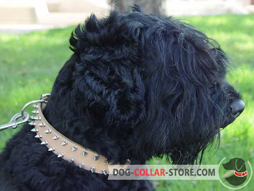 Tan Leather Dog Collar for Black Russian Terrier with Spikes