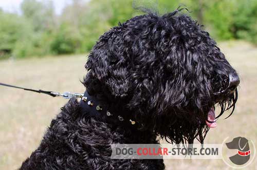 Nylon Black Russian Terrier Collar with Silver Plated Conchos