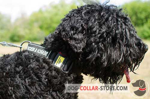 Weather Proof Nylon Black Russian Terrier Collar with ID Patches