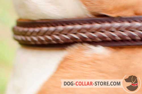 Stylish Hand Made Braiding on Designer Leather Dog Collar