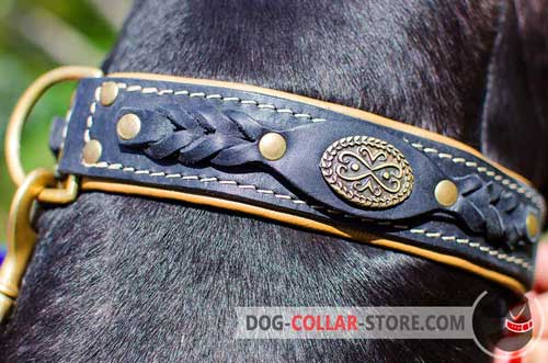Pretty Braids on Exclusive Design Leather Dog Collar