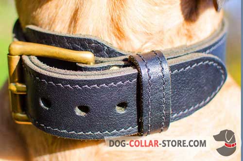 Strong Buckle on 2 Ply Leather Dog Collar