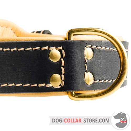 Brass-plated D-Ring on Nappa Padded Leather Dog Collar to Attach your Lead 
