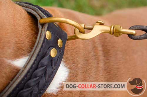 Duly Welded Brass-plated D-Ring on Braided Leather Dog Collar to Attach the Lead